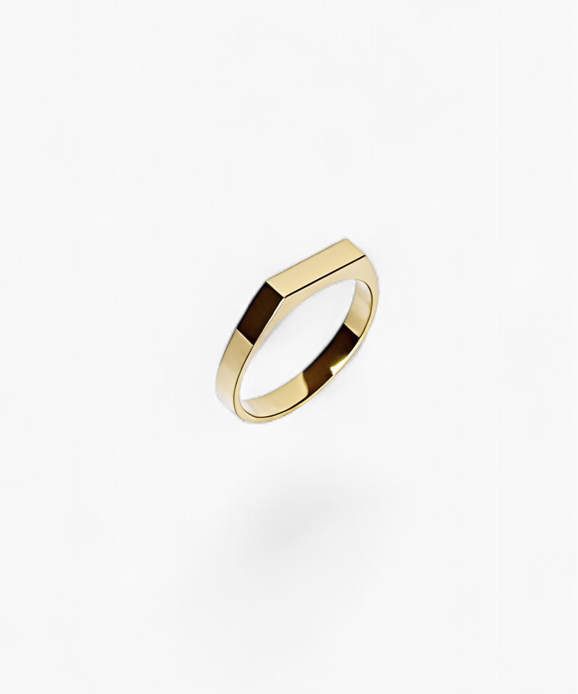 316L Sleek Bar Signet Ring - Coddle Heaven