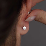 316L Stainless Steel 3mm Flatback Earrings - Coddle Heaven