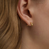 316L Stainless Steel Little Drop Flatback Earrings - Coddle Heaven