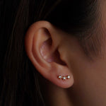 316L Stainless Steel Love Garden Flatback Earrings - Coddle Heaven