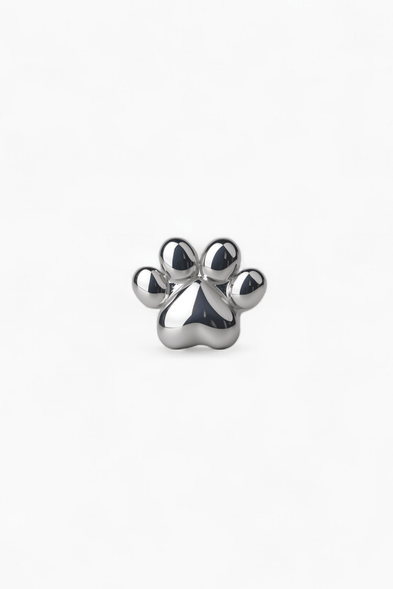 316L Stainless Steel Paw Flatback Earrings - Coddle Heaven