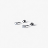 316L Stainless Steel Silver Sphere Earrings - Coddle Heaven