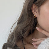 Double Circle Line Earrings