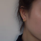 Double Circle Line Earrings