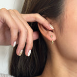 Double Drop - Coddle Heaven