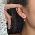 Double Drop - Coddle Heaven