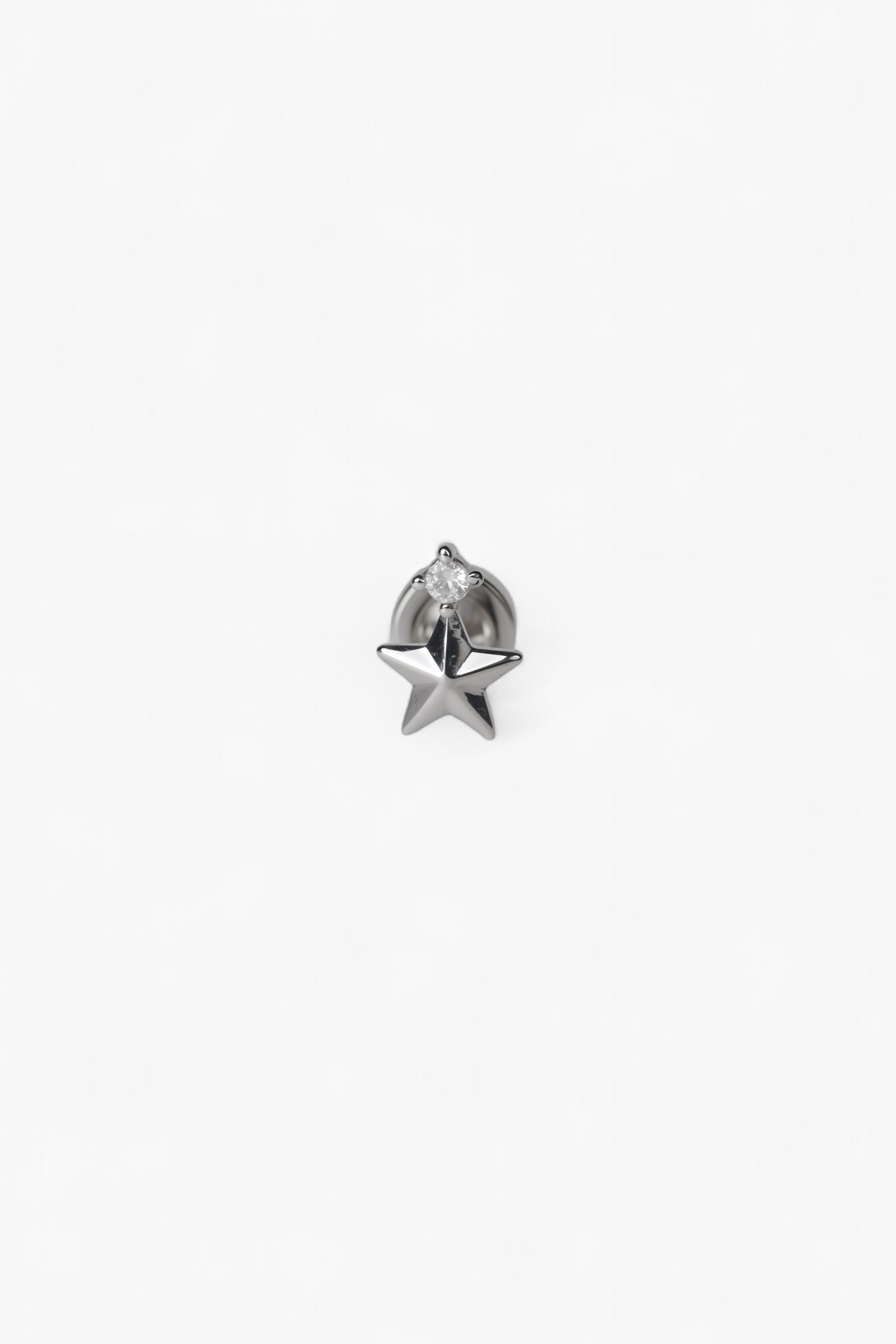 316L Stainless Steel Star Crown Flatback Earrings